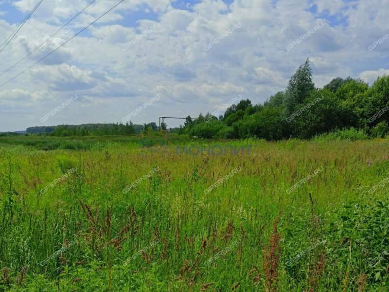 земельный участок 2 656 соток Богородская слобода улица деревня Демидово